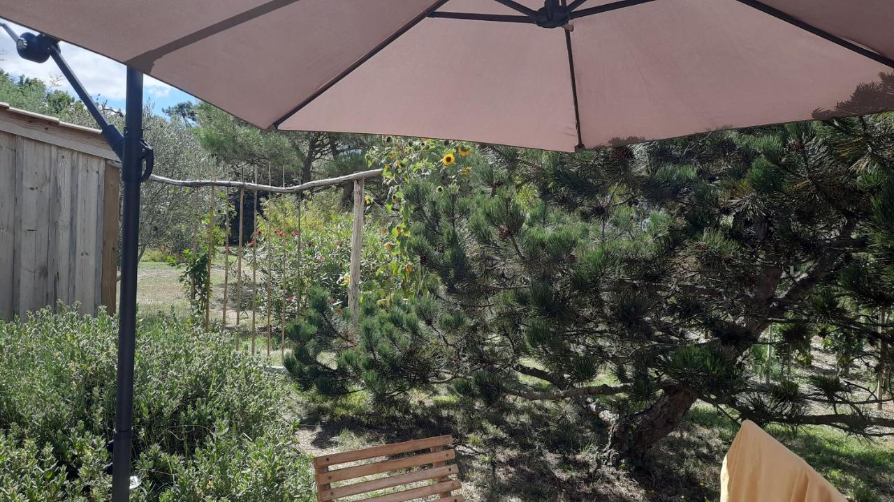 Le Grand Souffle Otel Dolus d'Oléron Dış mekan fotoğraf